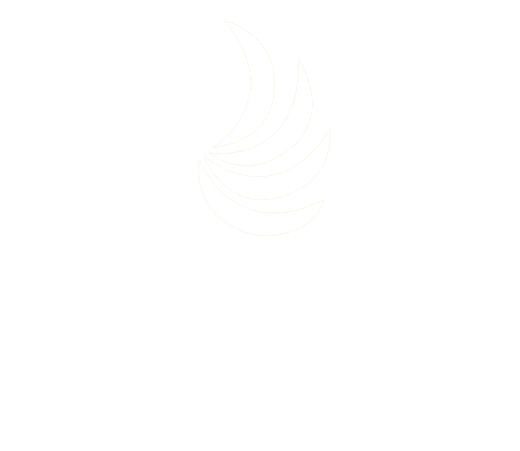 Lehle Design